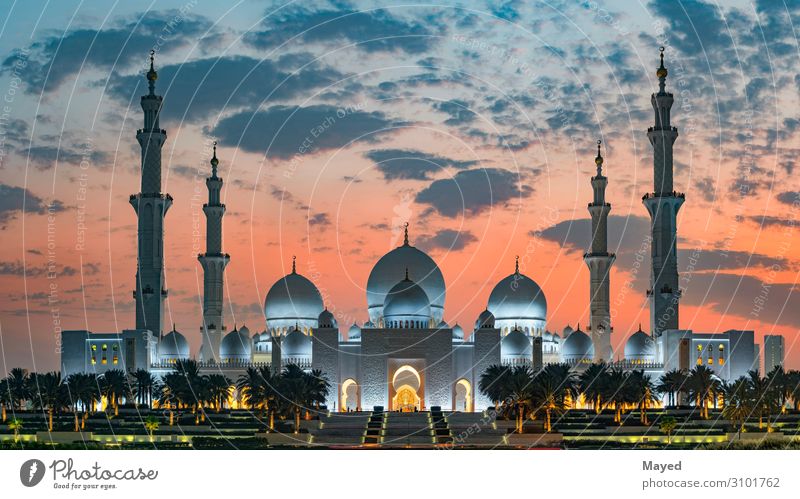 Sheikh Zayed Grand Mosque Luxury Exotic Educational trip Culture Sunrise Sunset Climate Weather Beautiful weather Warmth Abu Dhabi United Arab Emirates Asia