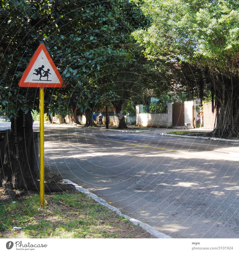 Street avenue with trees and street sign School children Signs and labeling Signage esteem Caution Schoolchildren Avenue Deserted Warning sign Warning label