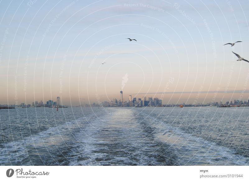 Skyline of Manhattan, Queens and New Jersey with seagulls at dusk New York City Hudson River Seagull Seagulls USA Staten Island Ferry states island Town