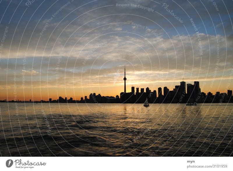 Skyline of Toronto Canada at sunset Skyline silhouette Skyline at night Lake Lake Ontario Sunset High-rise CN Tower Panorama (View) Long shot Silhouette