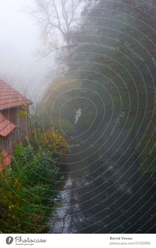 mill morning Environment Nature Water Sky Autumn Climate Fog Plant Tree Bushes Gray Green Red Roof Mill Brook Calm Idyll Mirror image