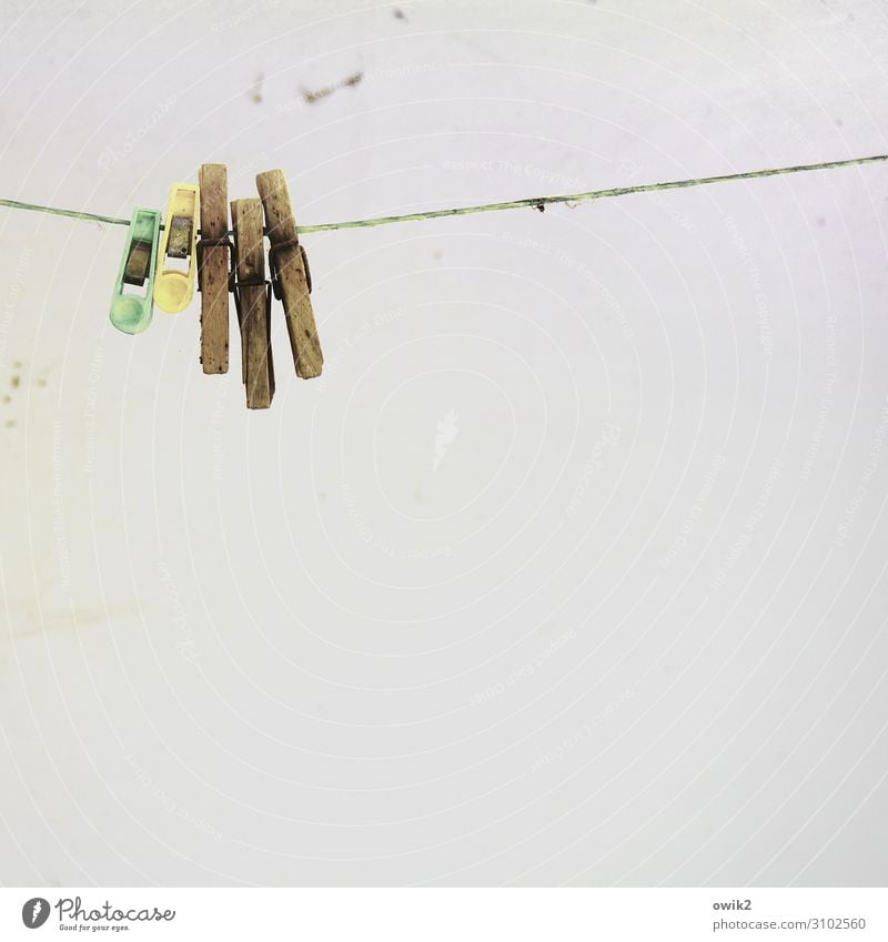 rope team Wall (building) Clothes peg Clothesline Wood Plastic Hang Together Serene Patient Calm Break Closing time Colour photo Exterior shot Close-up Detail