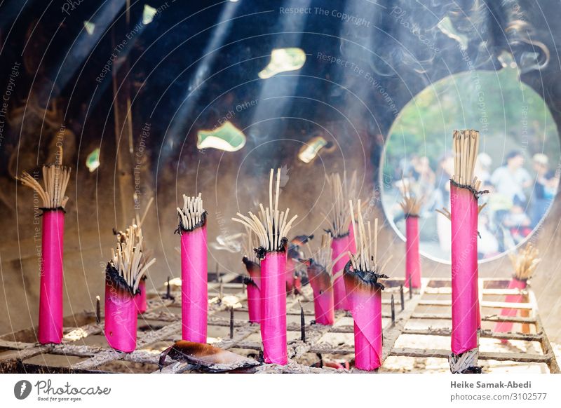 Incense sticks in a temple in Kamakura Japan Smoking Pink Belief Religion and faith Tradition Joss sticks Buddhism Spirituality Asia Asians Burn Glow Smoke