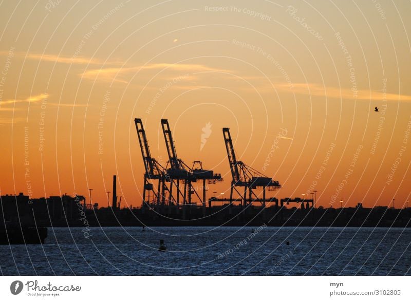 Port facility at sunset in New York / New Jersey Harbour container port New York City Sunset USA Americas Vacation & Travel Silhouette Contrast Twilight Evening