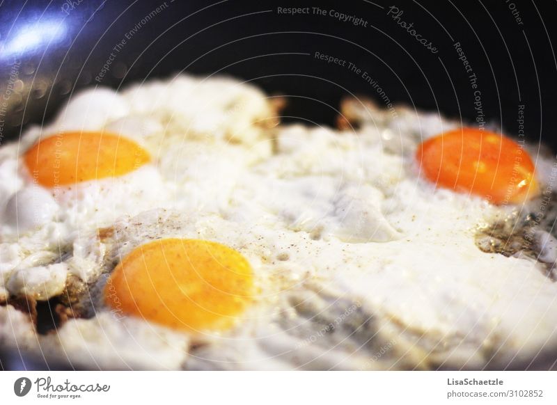 Fried eggs in the pan Fried egg sunny-side up Arrow Eating Egg Breakfast Food Nutrition Protein Meal Close-up Pan Cholesterol Frying Fresh Yellow Healthy