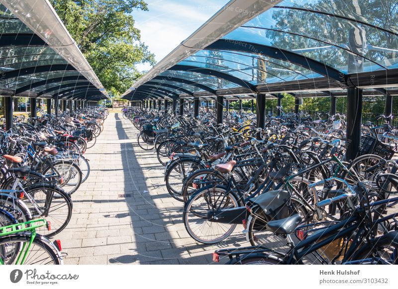 Typical dutch scene of a bicycle storage bicycle garage bicycle parking bike biking bright city day ecology efficient europe european frame handle handlebar