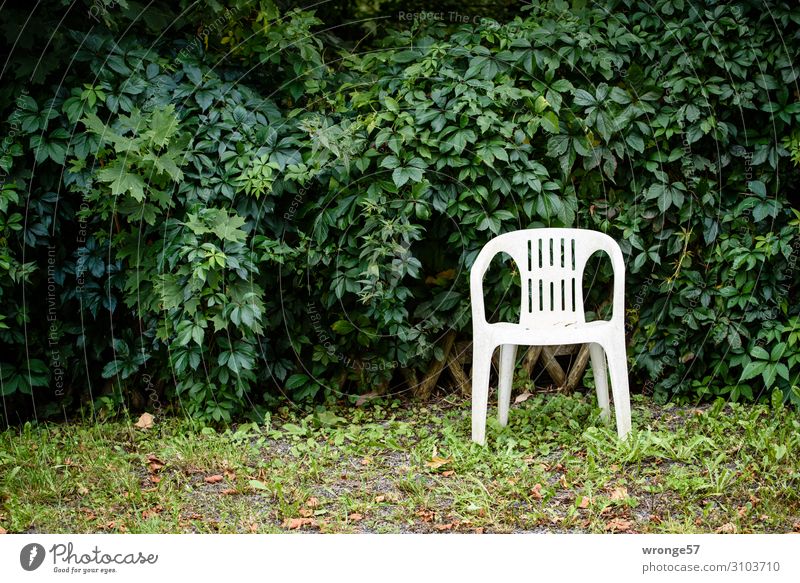 A place in the green Armchair Chair Bushes Garden Plastic chair Town Green White Loneliness Relaxation Calm Leaf Foliage plant Resting point Comfy chair