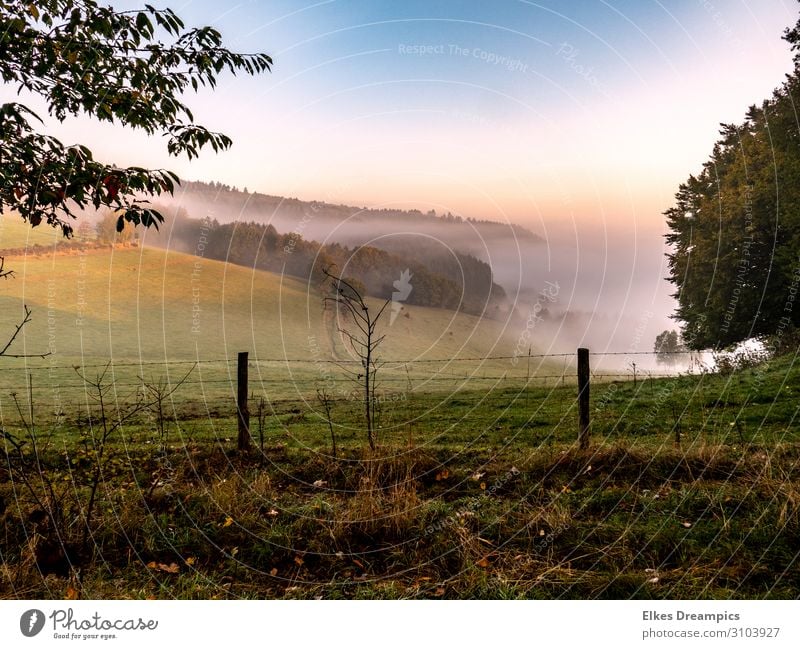 an autumn morning in the Eifel with morning fog Nature Landscape Sky Sunrise Sunset Autumn Beautiful weather Fog Relaxation Colour photo Multicoloured