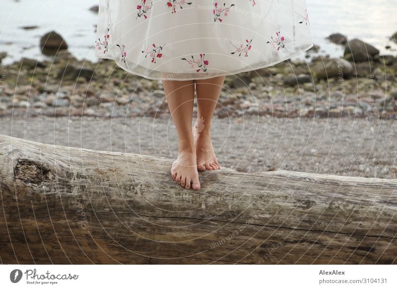 Woman in a dress on a tree trunk on the beach Elegant Style Beautiful Life Senses Beach Ocean Young woman Youth (Young adults) Legs Feet 18 - 30 years Adults