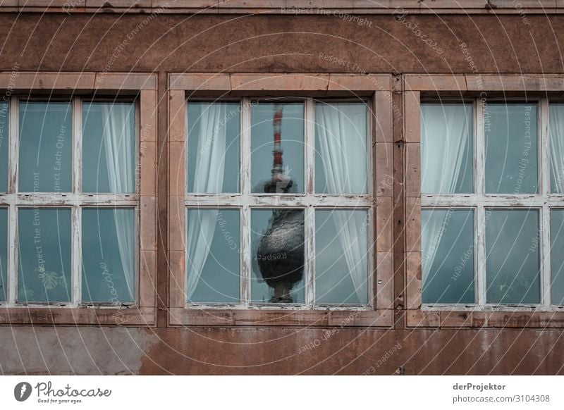 Television tower in a reflection Vacation & Travel Tourism Freedom Sightseeing City trip Manmade structures Building Architecture Landmark Monument Poverty