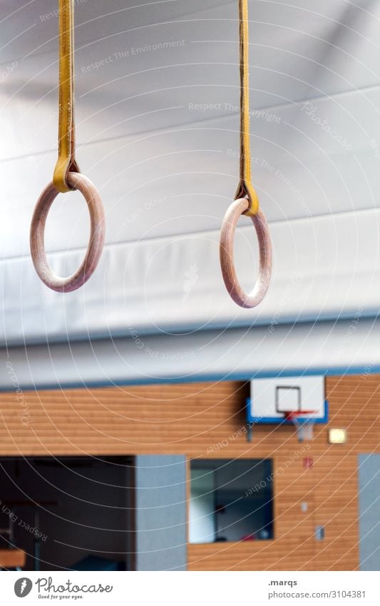 rings Sports Sporting Complex Gymnasium Gymnastics Healthy Colour photo Interior shot Deserted Artificial light