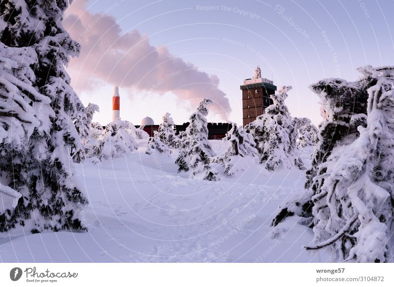 Brocken summit in winter V Landscape Sky Cloudless sky Winter Beautiful weather Ice Frost Snow Tree Spruce Spruce forest Mountain Harz Peak Snowcapped peak Tall