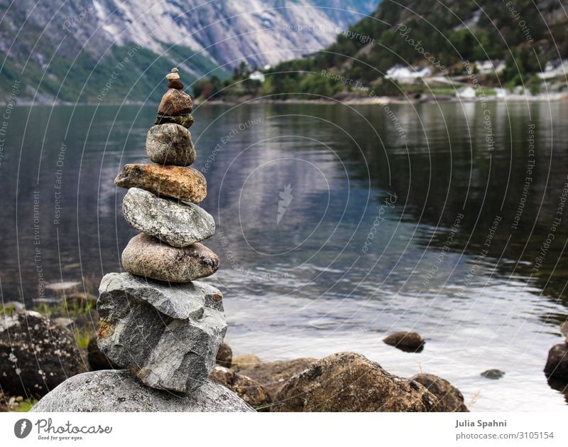 cairn Nature Landscape Elements Water Summer Beautiful weather Foliage plant Forest Rock Lakeside Fjord North Sea Natural Brown Gray White Horizon Idyll