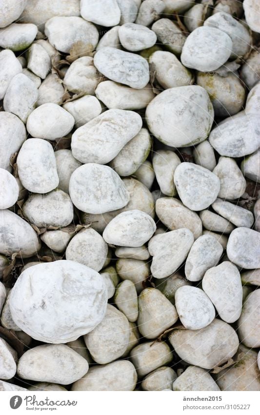 rocky Stone White Ocean Beach Swimming pool Nature Find Collection Accumulate Background picture Exterior shot