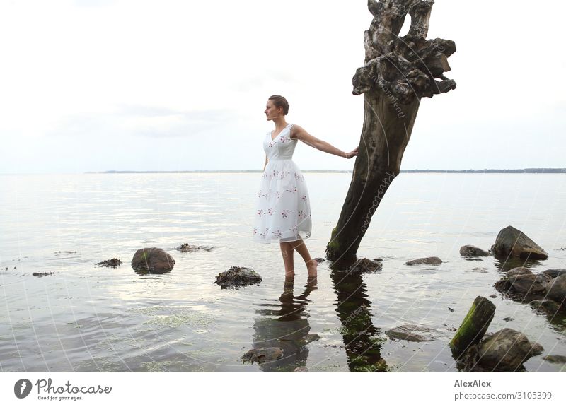 Young woman leaning against a tree trunk in the Baltic Sea Elegant Style already Harmonious Youth (Young adults) 18 - 30 years Adults Landscape