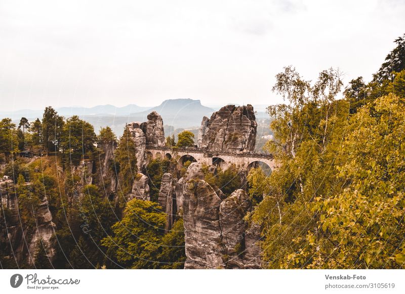 Saxon Switzerland Bastei Vacation & Travel Tourism Trip Far-off places Freedom Sightseeing Mountain Hiking Architecture Nature Landscape Tree Rock Bridge