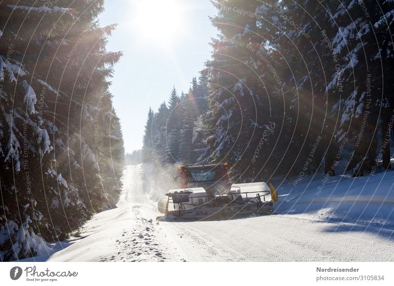 Snowcat in the snowy forest Vacation & Travel Tourism Winter Winter vacation Winter sports Ski run Services Machinery Technology Nature Landscape Cloudless sky