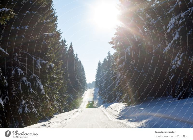 Ski trail in the Thuringian Winter Forest Vacation & Travel Tourism Snow Winter vacation Winter sports Ski run Services Machinery Nature Landscape Cloudless sky