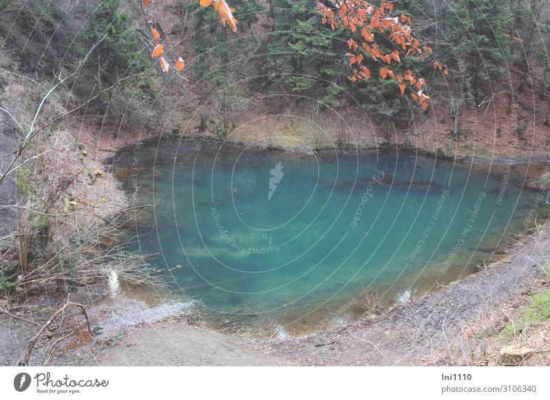 Grüner See (mini lake in Markendorf/Melle) Nature Landscape Elements Water Autumn Tree Forest Lakeside Blue Gray Green Red Turquoise Quarry Small Minerals