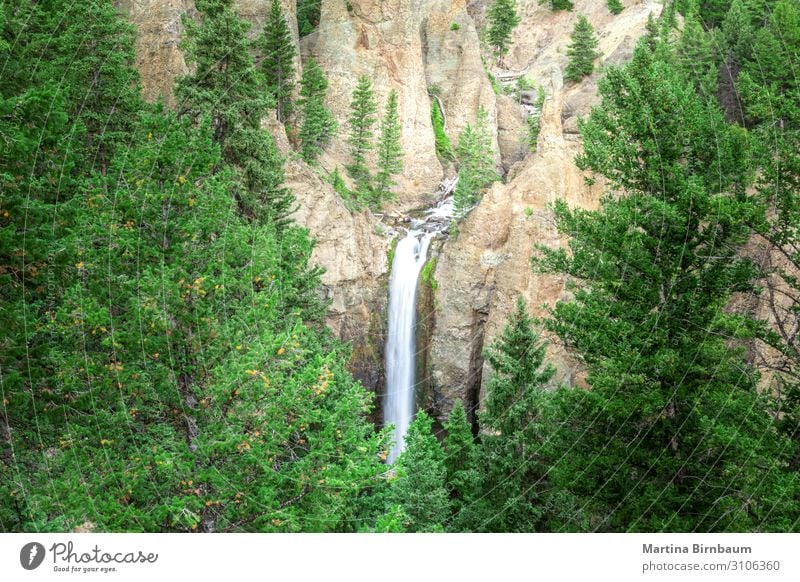 Tower Falls long exposure in Yellowstone National Park, USA Relaxation Vacation & Travel Summer Mountain Environment Nature Landscape Autumn Tree Forest