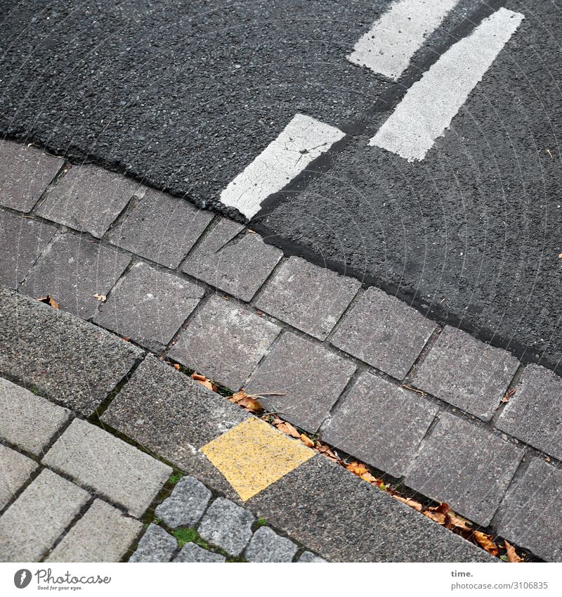 baselines (8) Baseline Street Asphalt Gray Yellow Bird's-eye view White Stripe worn-out green Tar Mathematics Design stones foliage