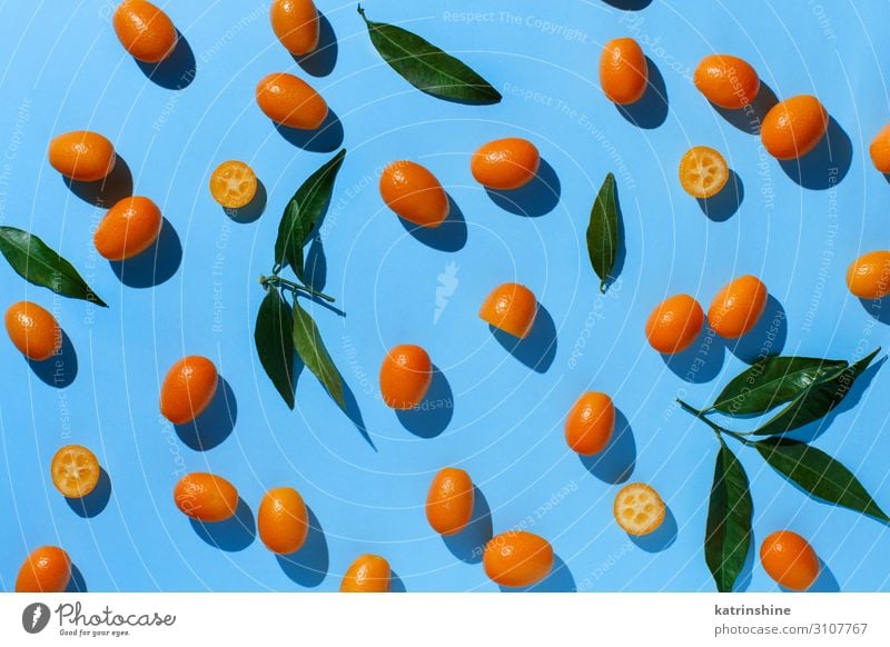 Kumquat fruits on a blue background Fruit Nutrition Vegetarian diet Exotic Group Leaf Fresh Modern Natural Above Juicy Blue Yellow Colour citrus cumquat kumquat