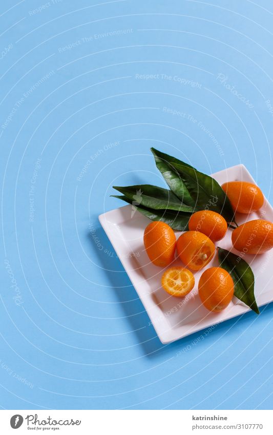 Kumquat fruits on a blue background Fruit Nutrition Vegetarian diet Plate Exotic Summer Leaf Fresh Juicy Blue citrus orange kumquat Tropical conceptual