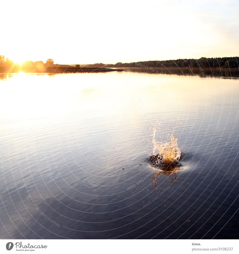 Fioumpff | noise Panorama (View) Deep depth of field Twilight Deserted Exterior shot Colour photo Inspiration Esthetic Loneliness Romance Passion Force Elbe