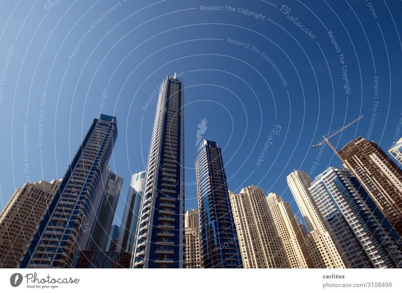 Surrounded II Dubai United Arab Emirates Near and Middle East City Capital city High-rise Tilt Wide angle aberrant lines Facade Reflection Blue Sky