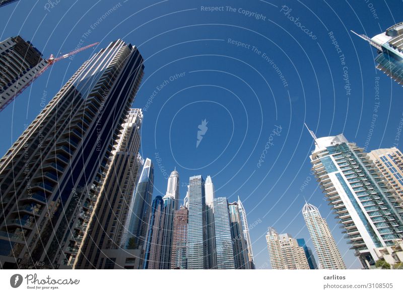 surrounded Dubai United Arab Emirates Near and Middle East City High-rise Tilt Wide angle aberrant lines Facade Reflection Blue Sky construction boom