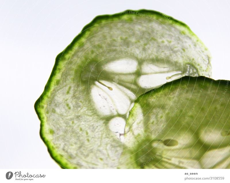 cucumber slice Food Vegetable Cucumber Slices of cucumber Nutrition Organic produce Vegetarian diet Diet Fasting Nature Lie Esthetic Fresh Round Juicy Green