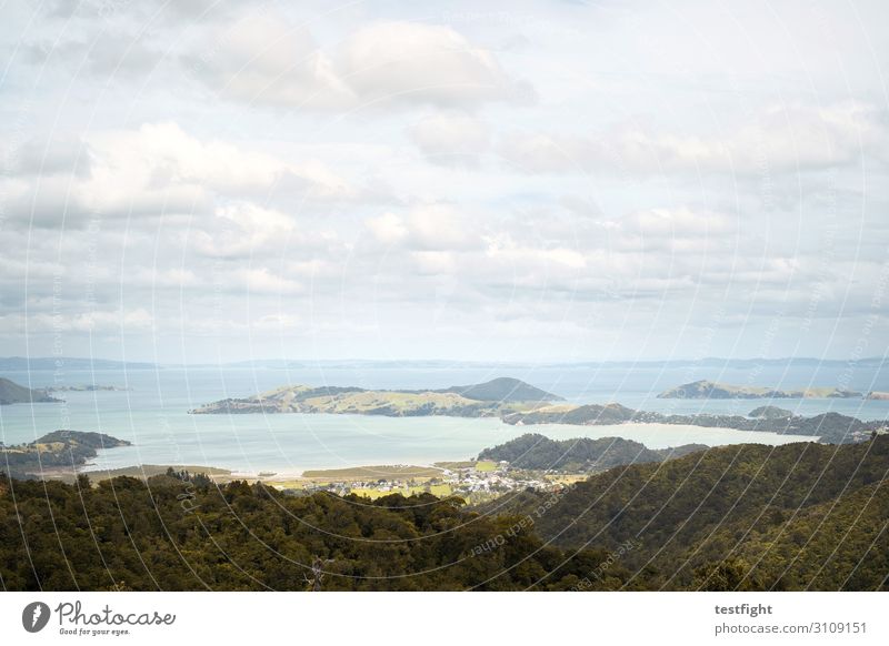 South Pacific Environment Nature Landscape Plant Water Sky Clouds Sun Summer Climate Beautiful weather Tree Foliage plant Agricultural crop Wild plant Coast Bay