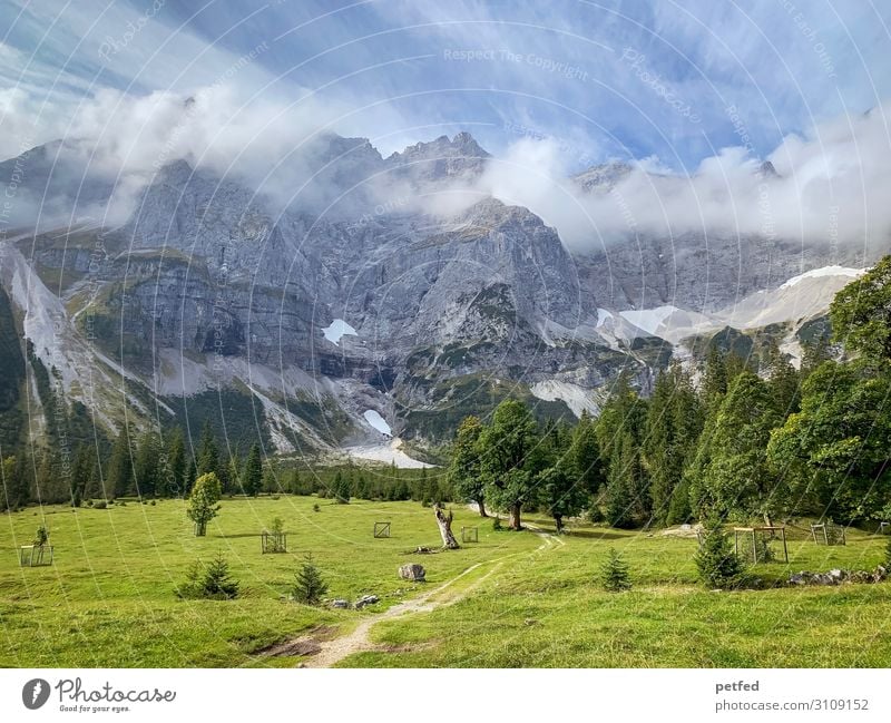 Small maple back Landscape Clouds Summer Snow Tree Grass Mountain Gigantic Infinity Blue Gray Green Moody Serene Calm Loneliness Horizon Idyll Far-off places