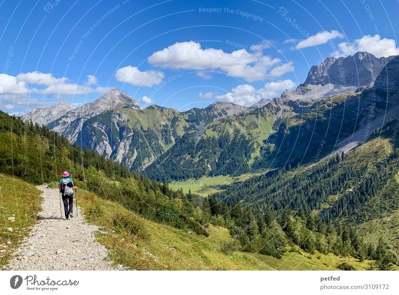 peregrination Mountain Hiking 1 Human being Sky Clouds Summer Forest Movement Going Vacation & Travel Free Infinity Natural Blue Green Joy Contentment Serene