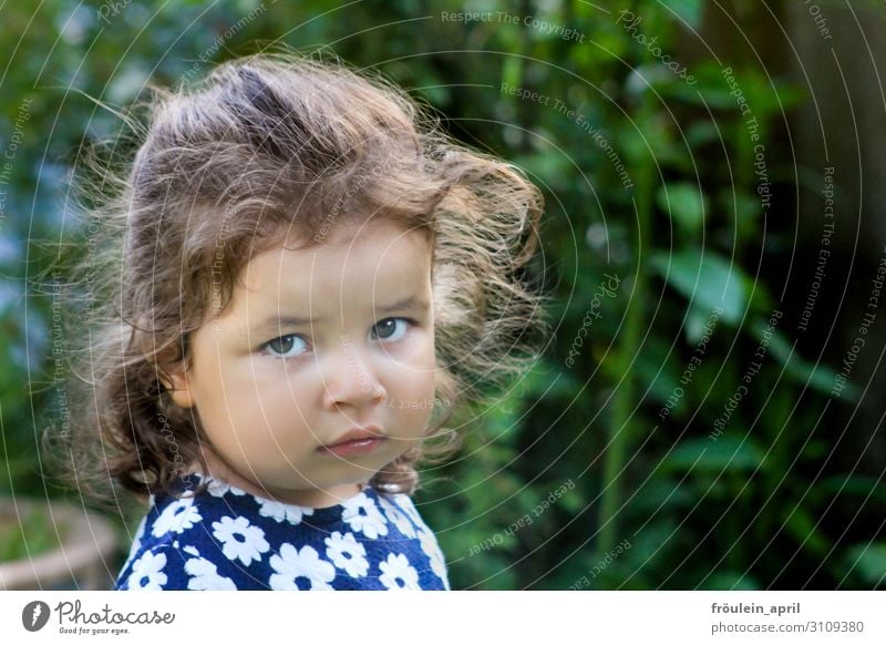 sulk 1 person Exterior shot Looking into the camera Child Infancy Head Girl portrait Landscape format daylight tear sad Human being Colour photo 3 - 8 years