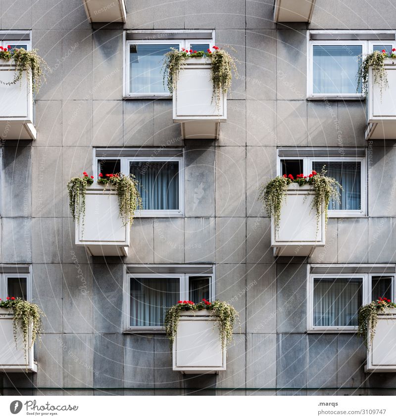 usury Living or residing Flat (apartment) Flower Facade Balcony Window Arrangement Prefab construction Tenancy law Gloomy Colour photo Exterior shot Deserted