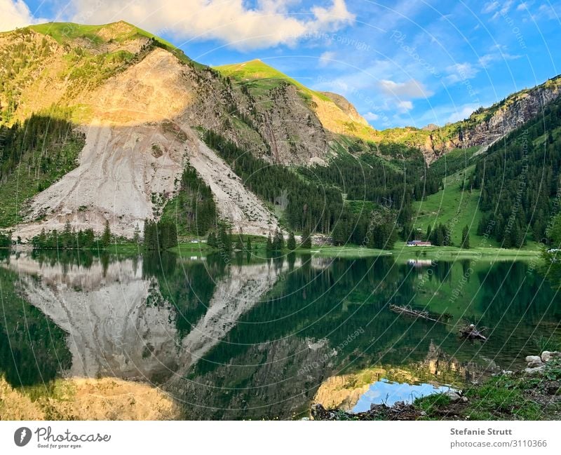 Recording in the mountains at the lake Nature Landscape Plant Animal Earth Water Sky Clouds Sunrise Sunset Summer Beautiful weather Tree Rock Alps Mountain Peak