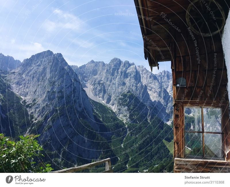 Alm at the Wilder Kaiser Summer Sun Mountain Hiking Nature Landscape Elements Beautiful weather Plant Rock Alps Peak Hut Window Relaxation Joy Contentment