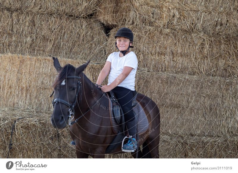 Learning to ride in the riding school Lifestyle Happy Leisure and hobbies Vacation & Travel Summer Child School Boy (child) Man Adults Friendship Infancy