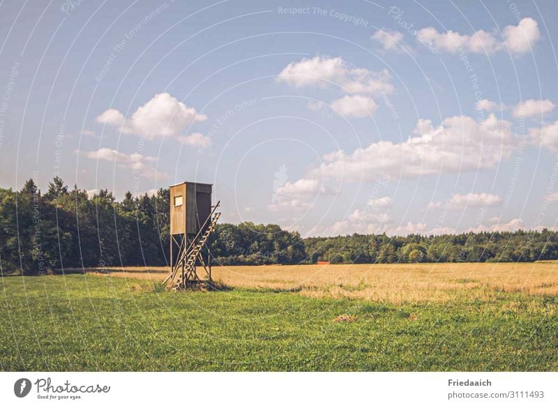 raised hide Nature Landscape Sky Field Forest Hunting Blind Wood Observe Sharp-edged Tall Watchfulness Patient Success Experience Perspective Colour photo