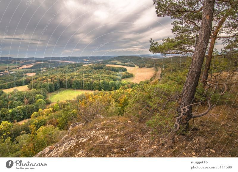 Hörselberg 3 Leisure and hobbies Vacation & Travel Tourism Trip Summer Mountain Hiking Thuringia Environment Nature Landscape Plant Earth Sky Clouds Sunlight