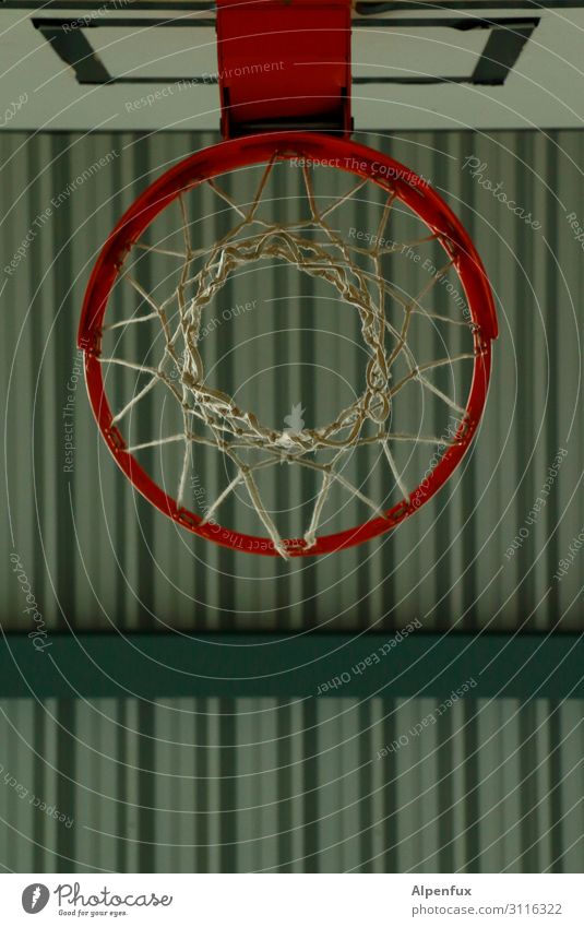 game under Sports Basketball basket Sporting Complex Gymnasium Athletic Tall Effort Movement Relationship Education Success Joy Money Belief Religion and faith