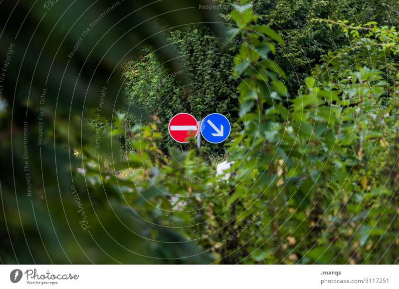 a way out leaves Nature Street Road sign StVO Road traffic Arrow Bans Converse No entry Road marking Orientation Navigation Freeway thickets Branch Vista