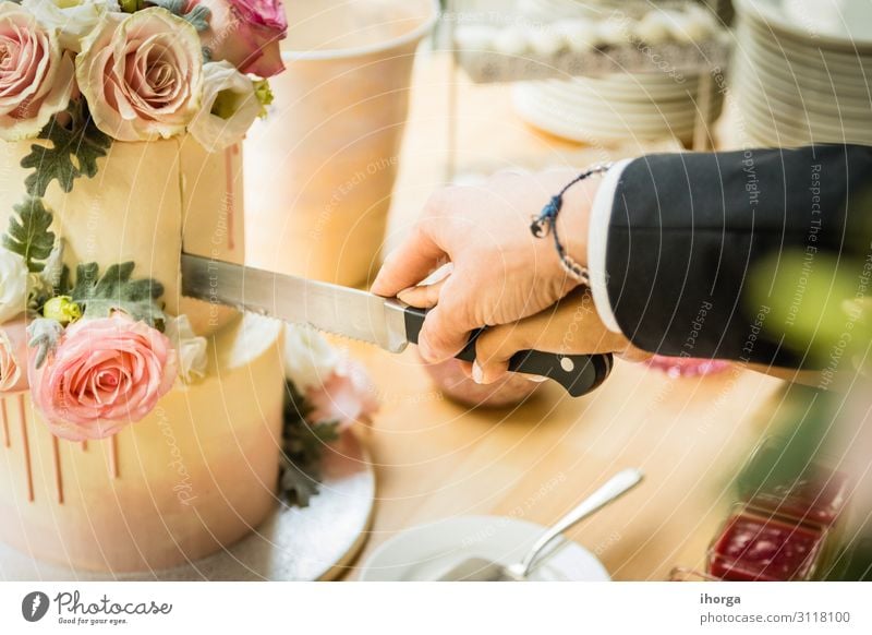 wedding couple cutting the wedding cake on their wedding day Cake Dessert Eating Joy Beautiful Decoration Table Feasts & Celebrations Wedding Woman Adults Man