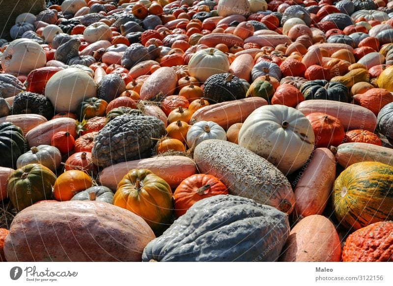 Fresh organic pumpkins on an agricultural market of the autumn Autumn Bazaar Organic produce Organic farming Multicoloured Cooking Farm Farmer Food Multiple