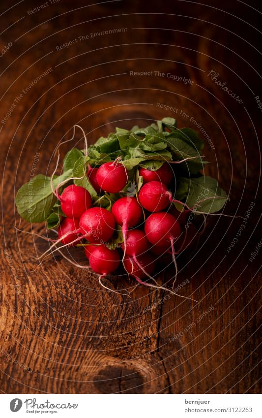 radish Food Vegetable Nutrition Vegetarian diet Lifestyle Health care Summer Garden Gardening Nature Plant Spring Leaf Wood Growth Fresh Delicious Green Red