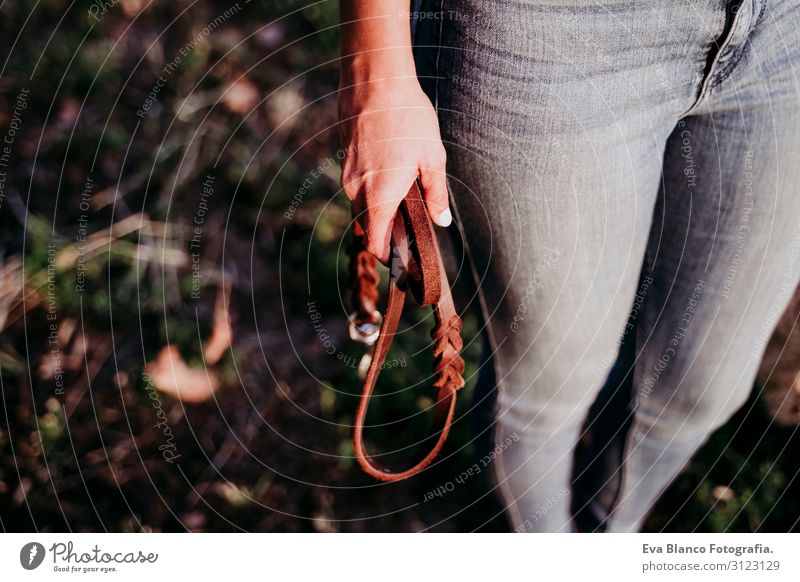 beautiful caucasian woman holding a brown leather dog leash at sunset in countryside. Pets and lifestyle outdoors. close up view Youth (Young adults) Woman