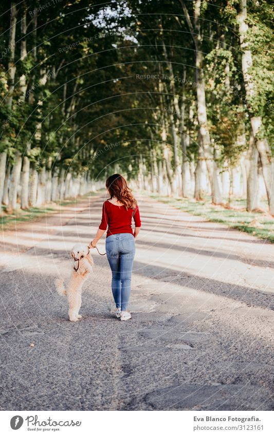 beautiful caucasian woman walking with her cute brown poodle on the road. Pets and lifestyle outdoors Youth (Young adults) Woman Sunset Field Hat Lifestyle