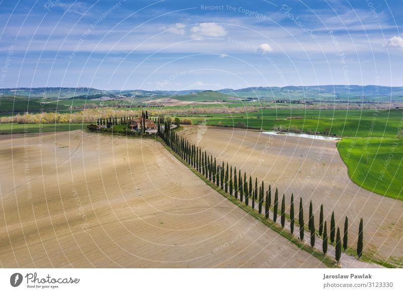 Amazing fields of Tuscany. drone above aerial landscape countryside italy nature europe tuscany farm rural meadow tree cypress outdoor agriculture panoramic