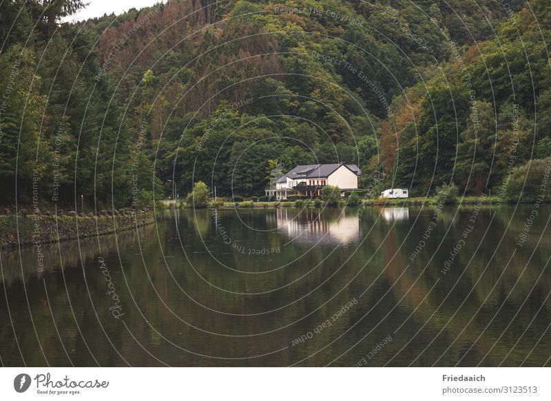 House on the river Tourism Trip Boating trip Discover Relaxation To enjoy Looking Experience Leisure and hobbies Nature Colour photo Subdued colour